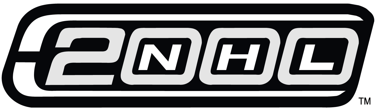 National Hockey League 2000 Misc Logo DIY iron on transfer (heat transfer)